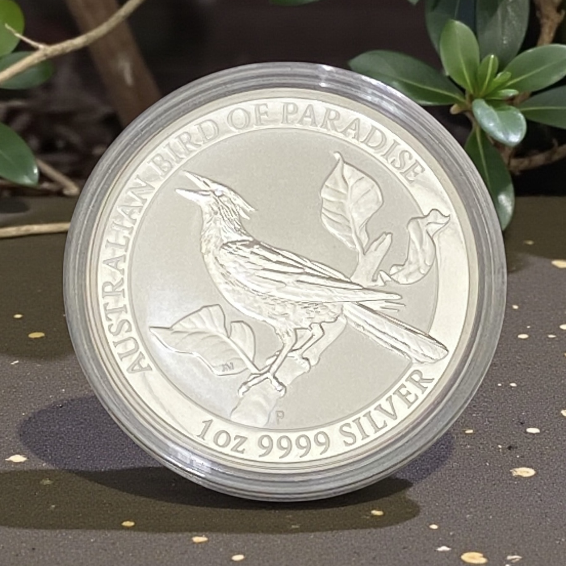 2019 Australian Bird of Paradise 9999 One Ounce Silver Coin