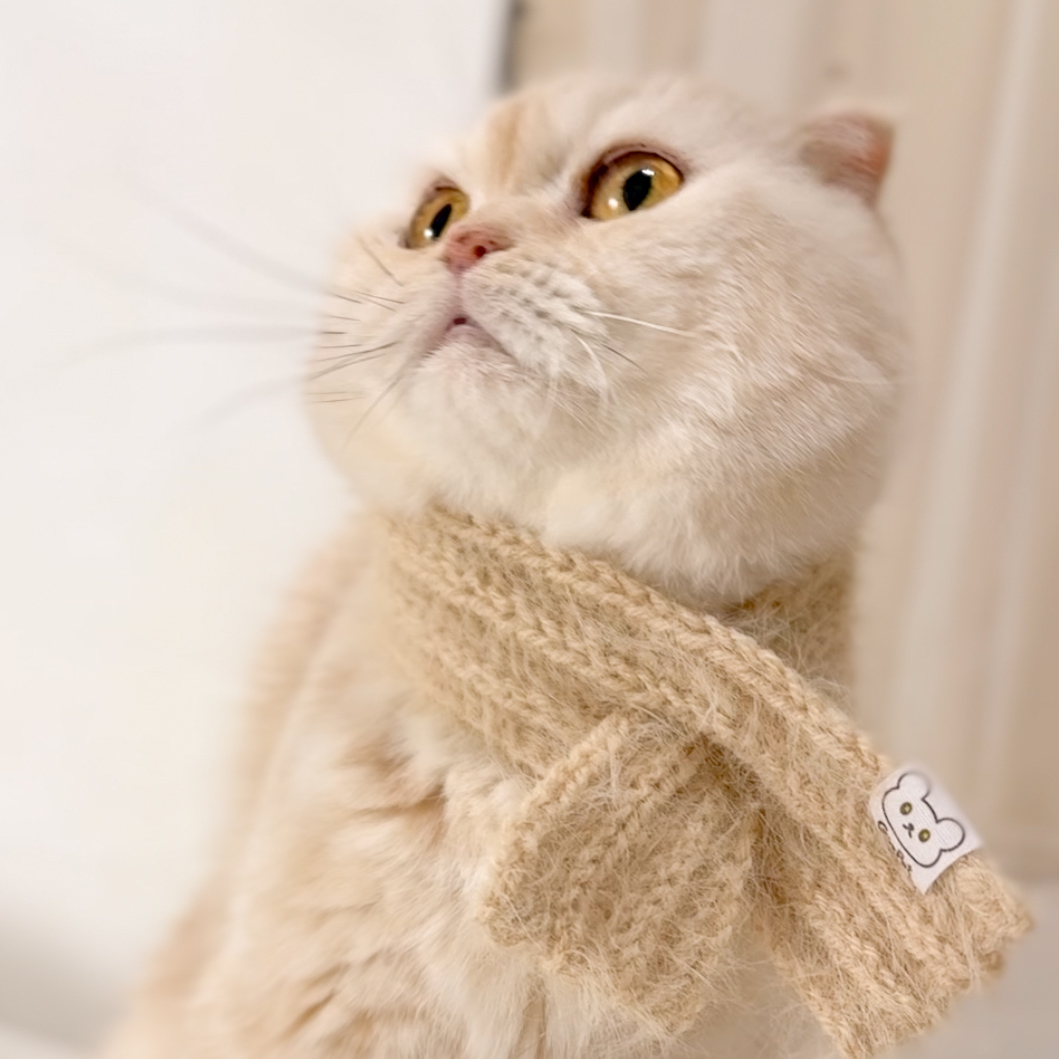 暖冬麻花毛線圍巾