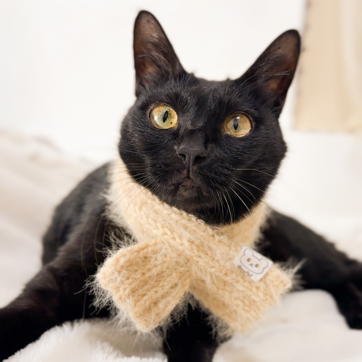 暖冬麻花毛線圍巾