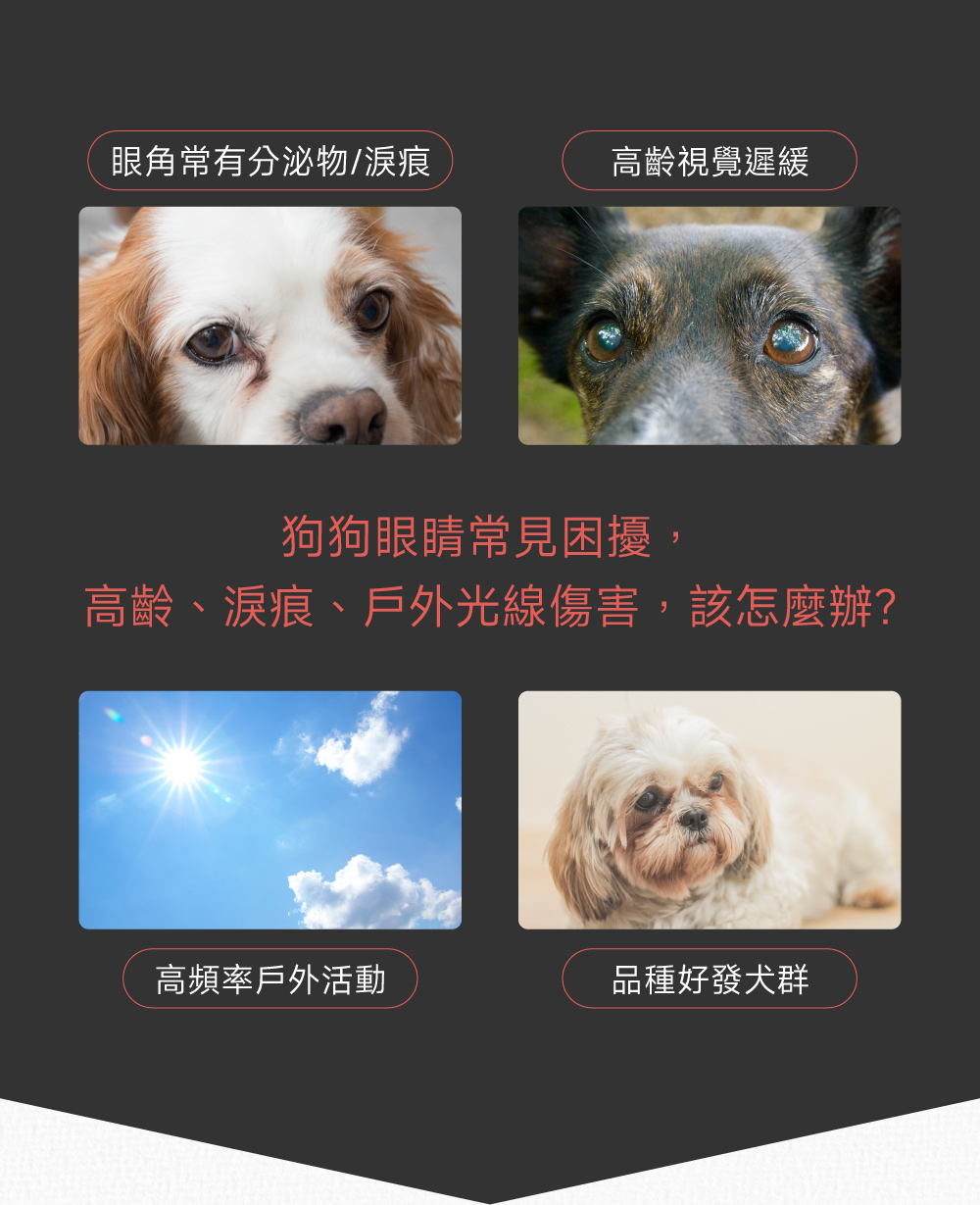 沛威專效保健狗用護眼問題圖