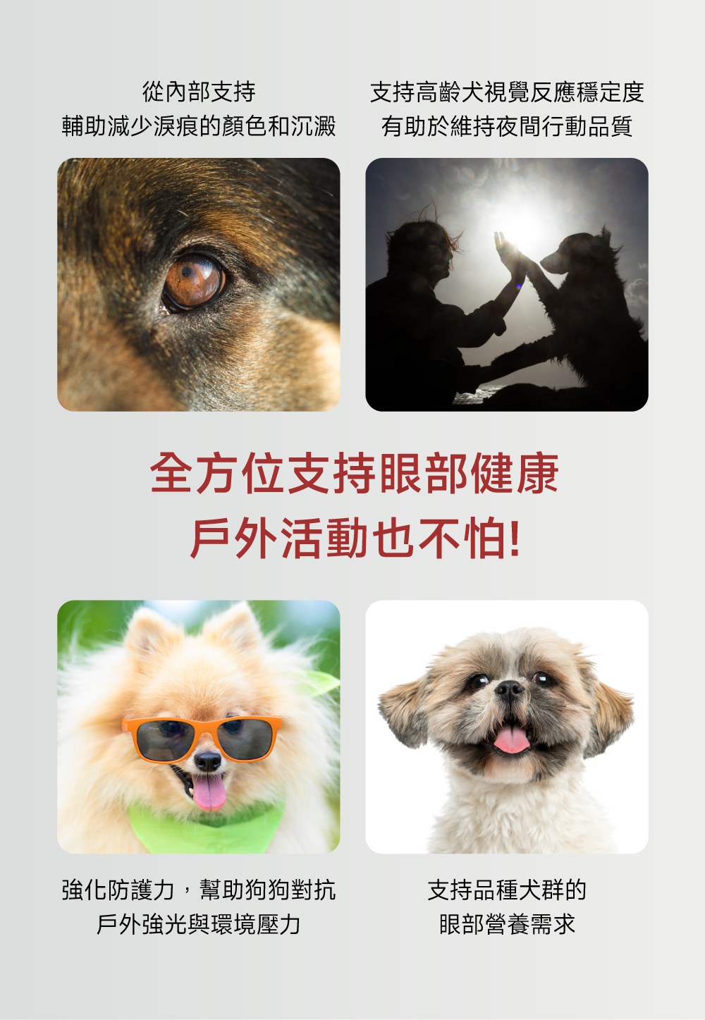 沛威專效保健狗用護眼全方位支持眼部健康