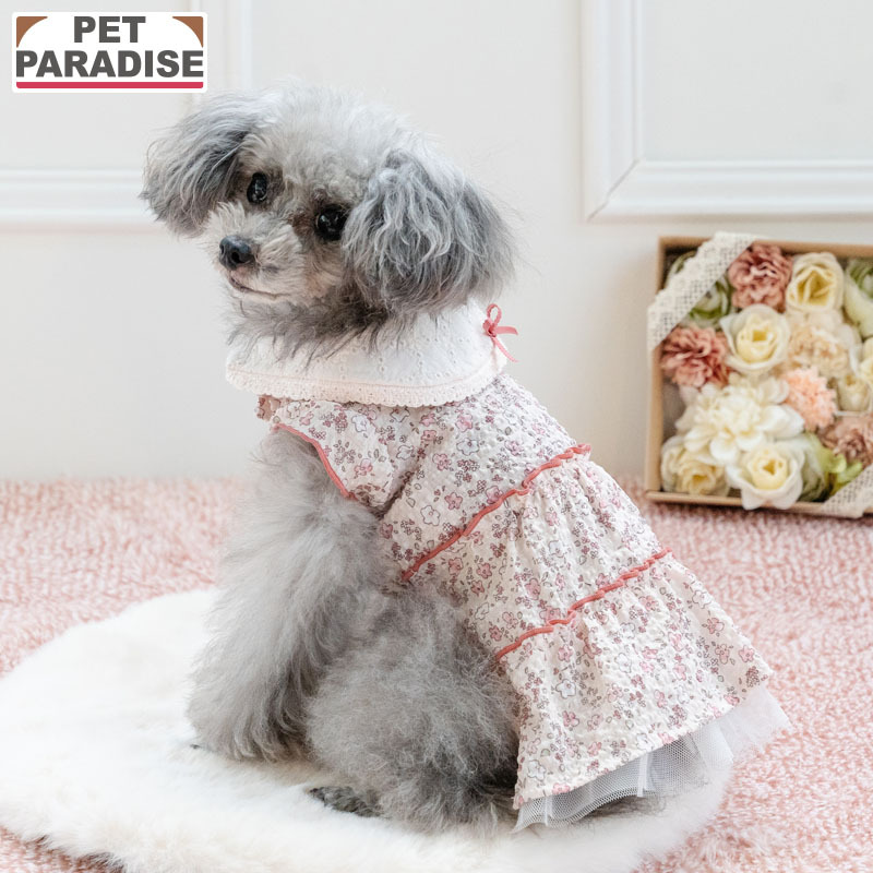 【Pet Paradise】Lace Collar Floral Dress <918-41765>