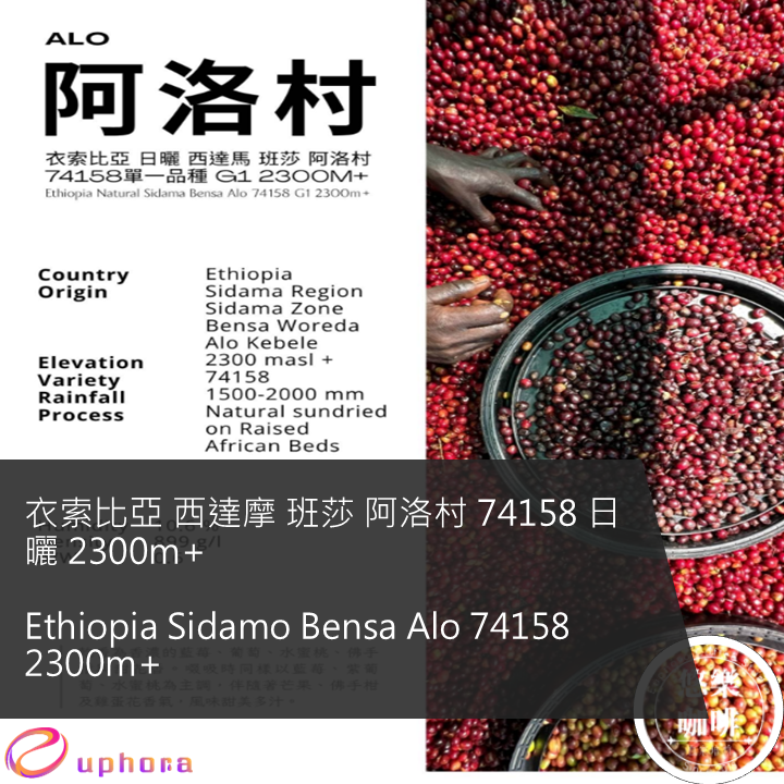 衣索比亞 西達摩 班莎 阿洛村 74158 日曬 2300m+