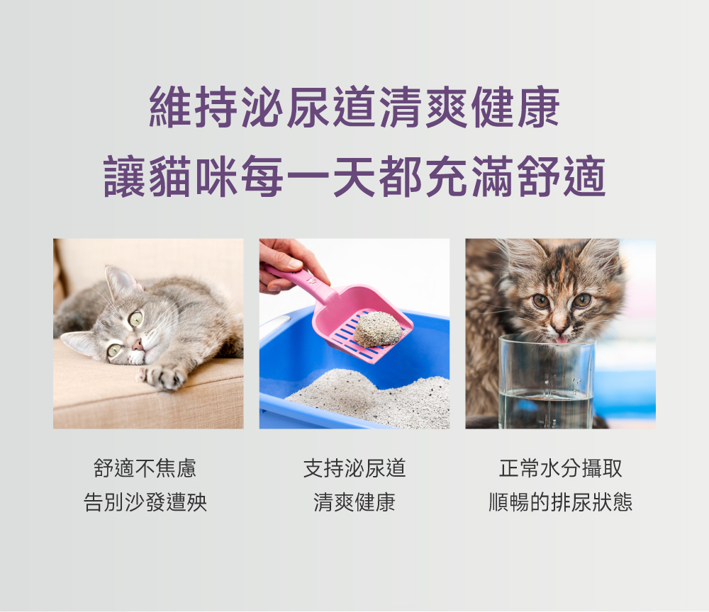 沛威專效保健貓用護泌尿PRO泌尿道清爽健康