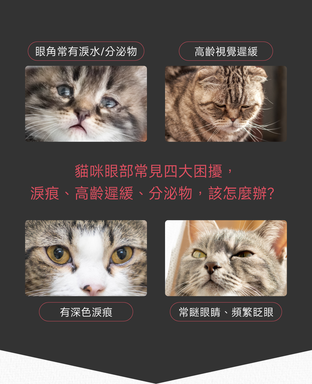 沛威專效保健貓用護眼亮晶晶PRO問題圖