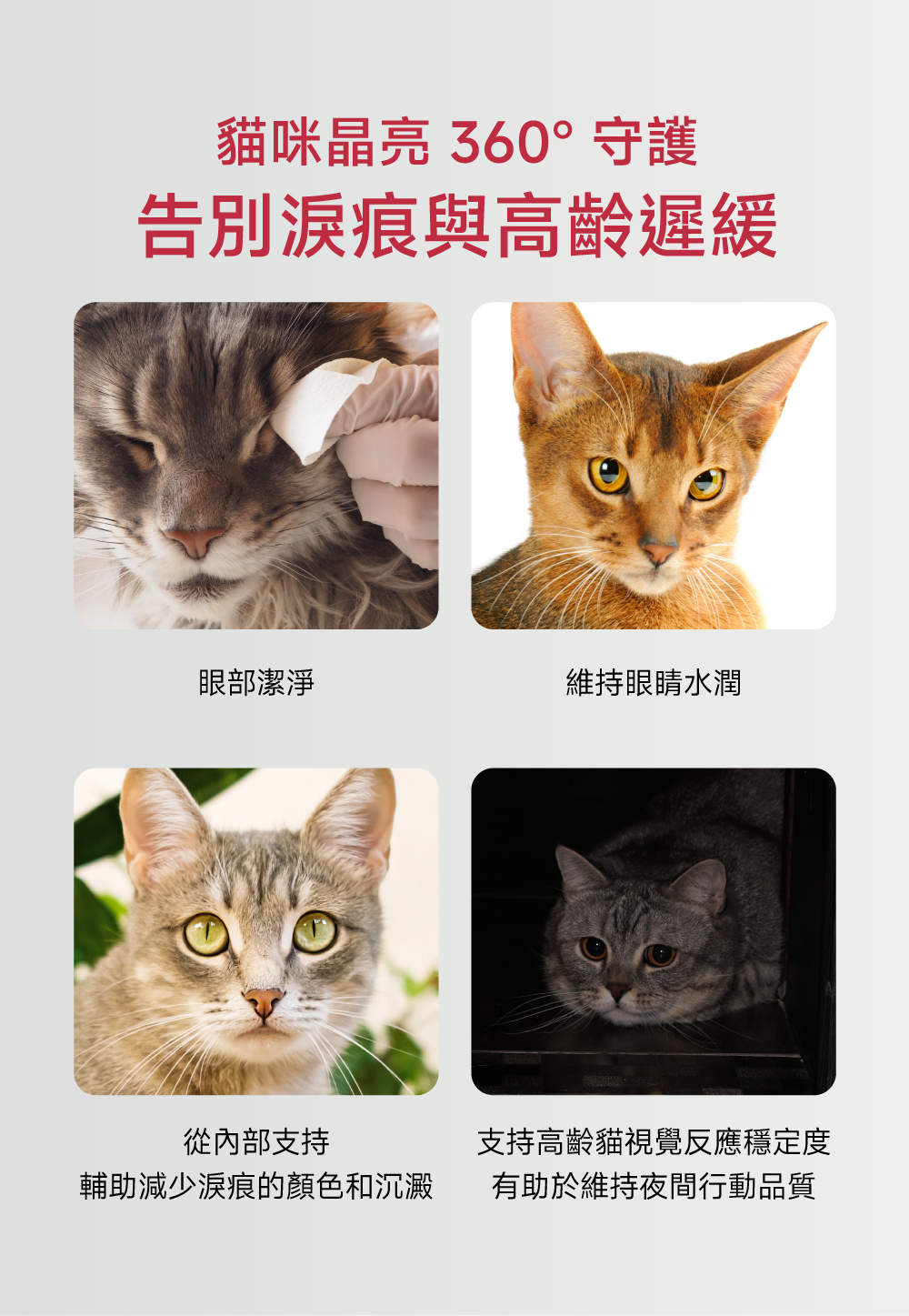 沛威專效保健貓用護眼亮晶晶PRO告別淚痕