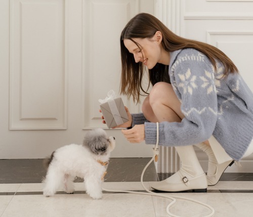 Stroll 輕量款細版牽繩_燕麥