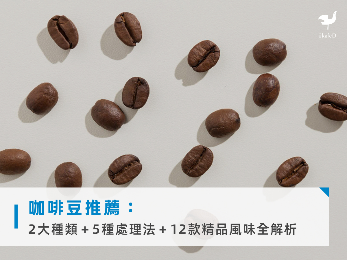 咖啡豆推薦：2大種類＋5種處理法＋12款精品風味全解析