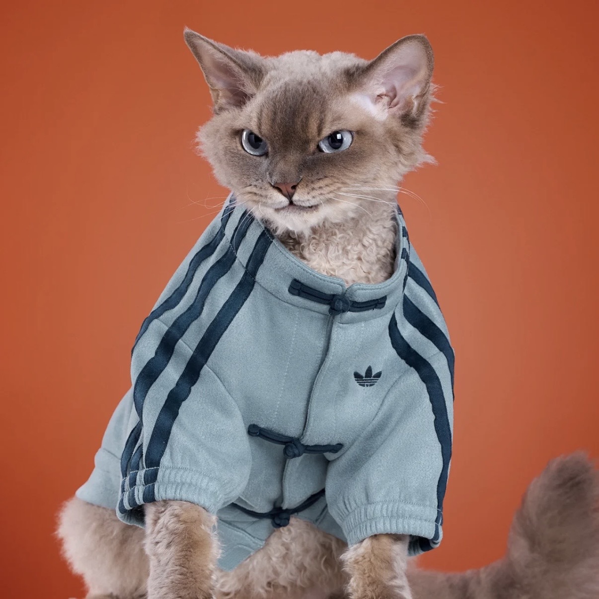 ADIDAS ORIGINALS 新年限定新中式天空藍保暖外套寵物衣服狗狗貓咪