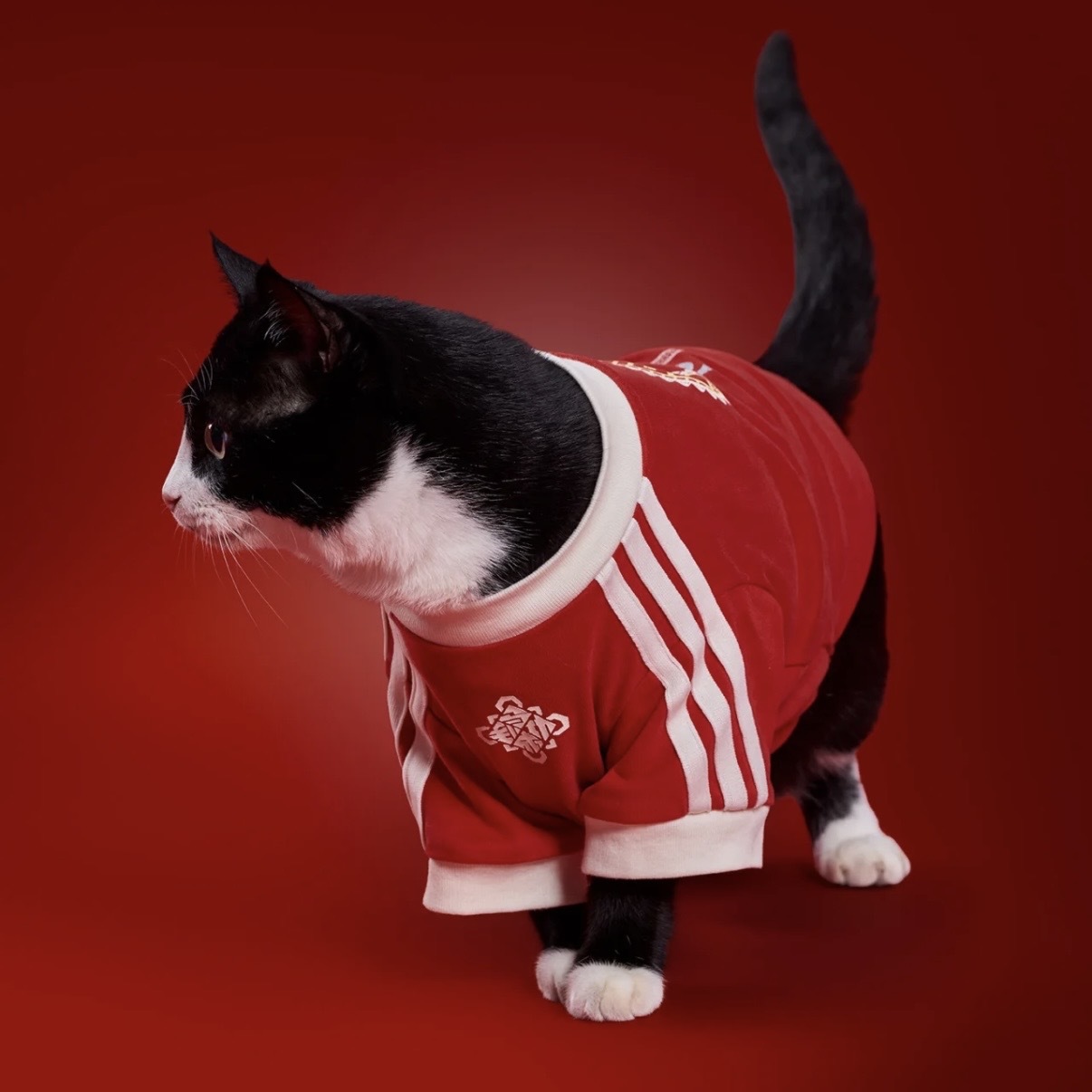 ADIDAS ORIGINALS 新年限定 純棉 寵物衣服 狗狗 貓咪 / 預購