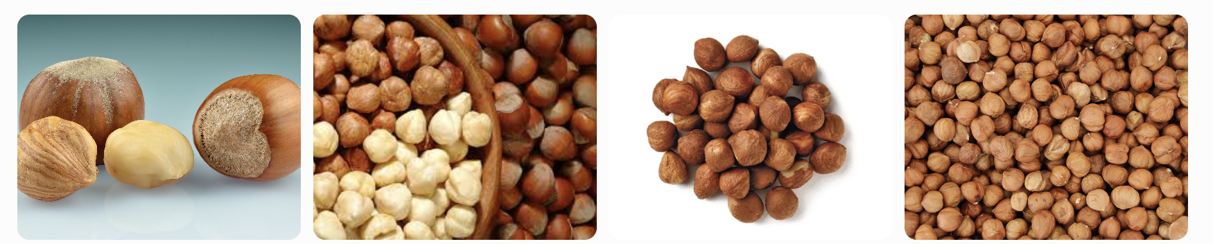 Hazelnut, Kernel from Uzbekistan