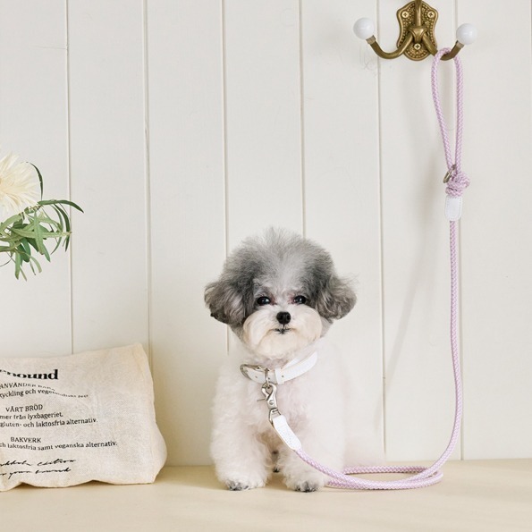 Stroll 輕量款細版牽繩_紫丁香