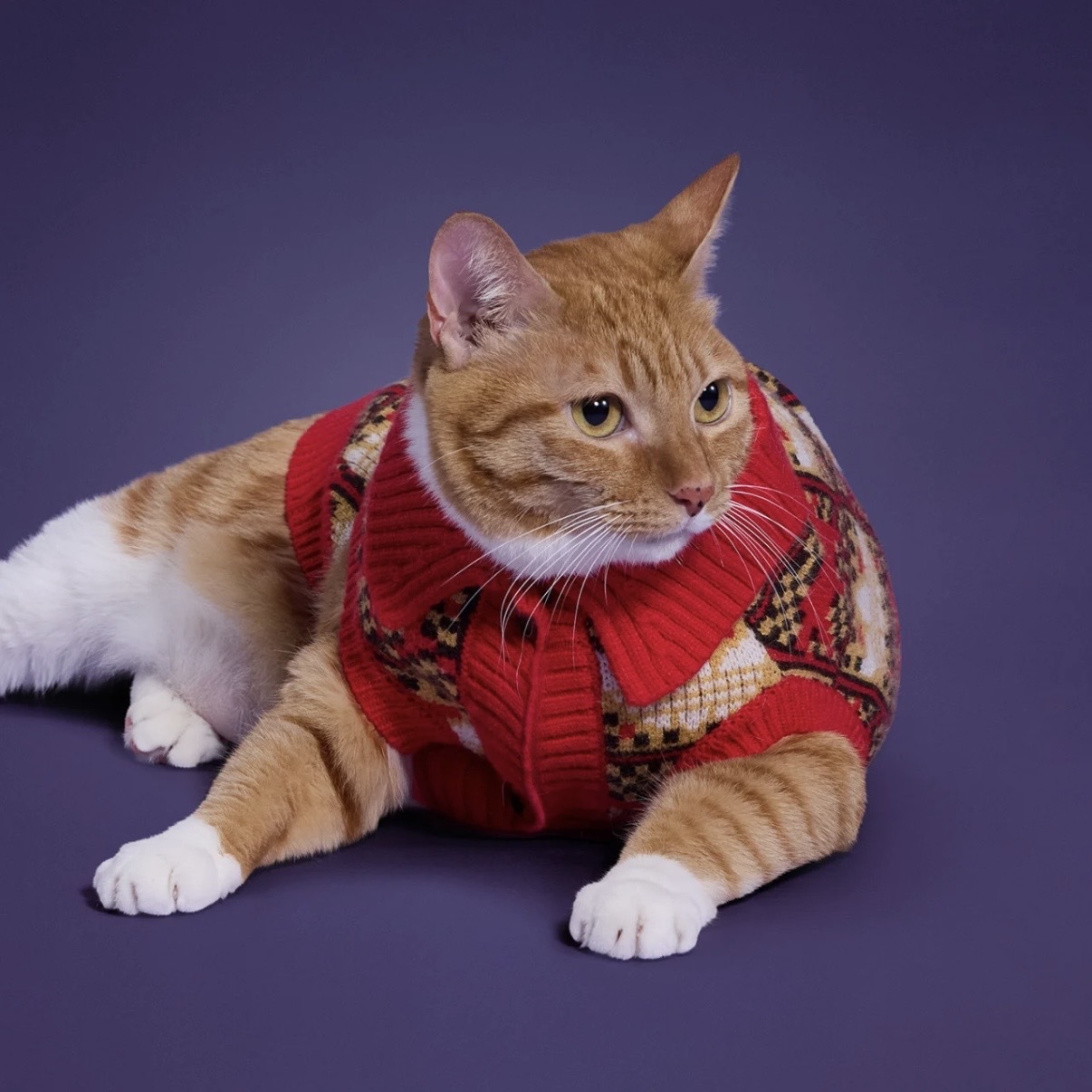 ADIDAS ORIGINALS 新年限定 針織印花 毛衣 排扣 寵物衣服 狗狗 貓咪 / 預購