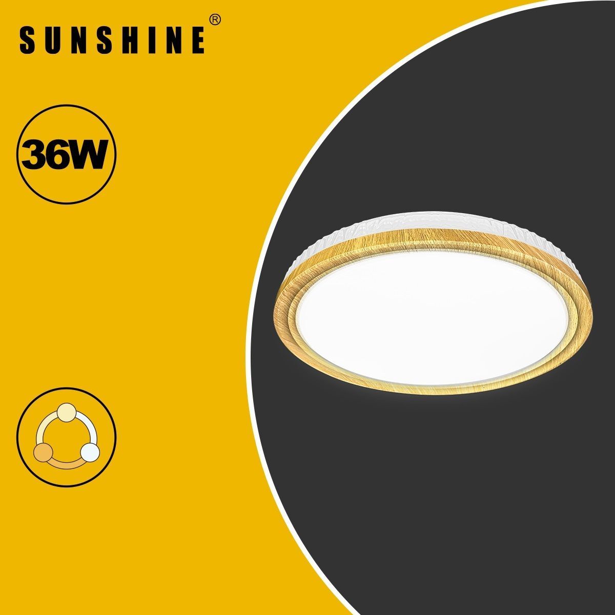 [CLQ1款] 天花吸頂燈 三色溫/遙控三色溫 36W