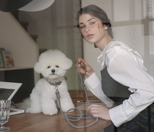 Stroll 輕量款細版牽繩_煙燻灰