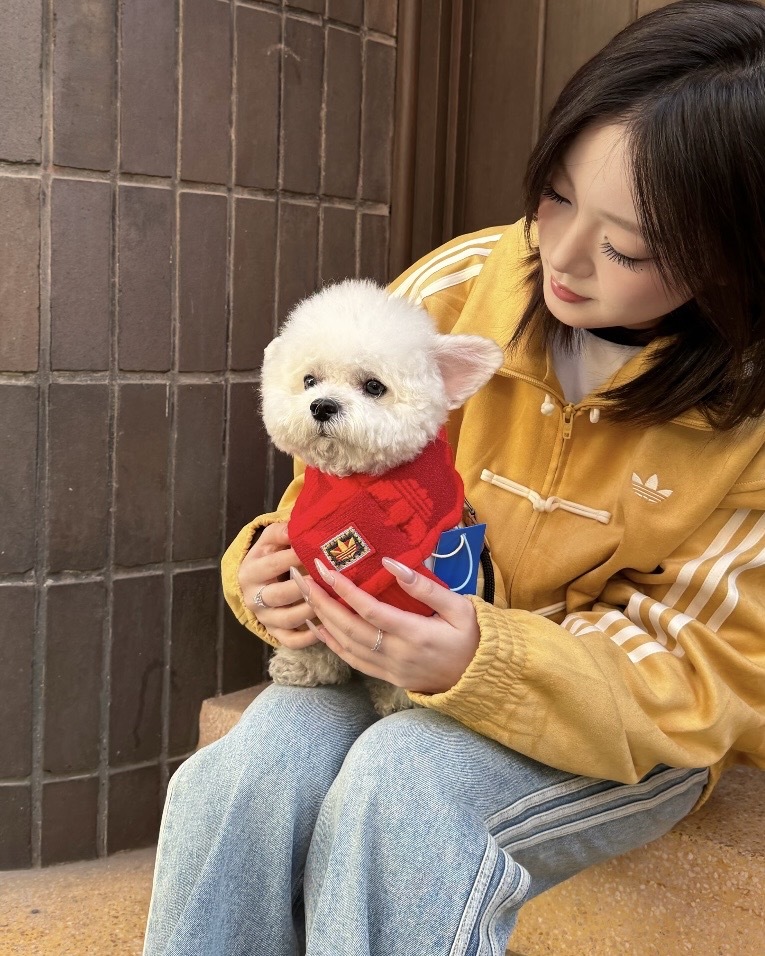 ADIDAS ORIGINALS 新年限定 針織圍巾 圍脖 保暖 寵物衣服 狗狗 貓咪 / 預購