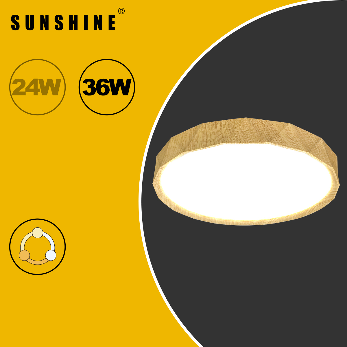 [CLW5款] 天花吸頂燈 三色溫/遙控三色溫 24W / 36W