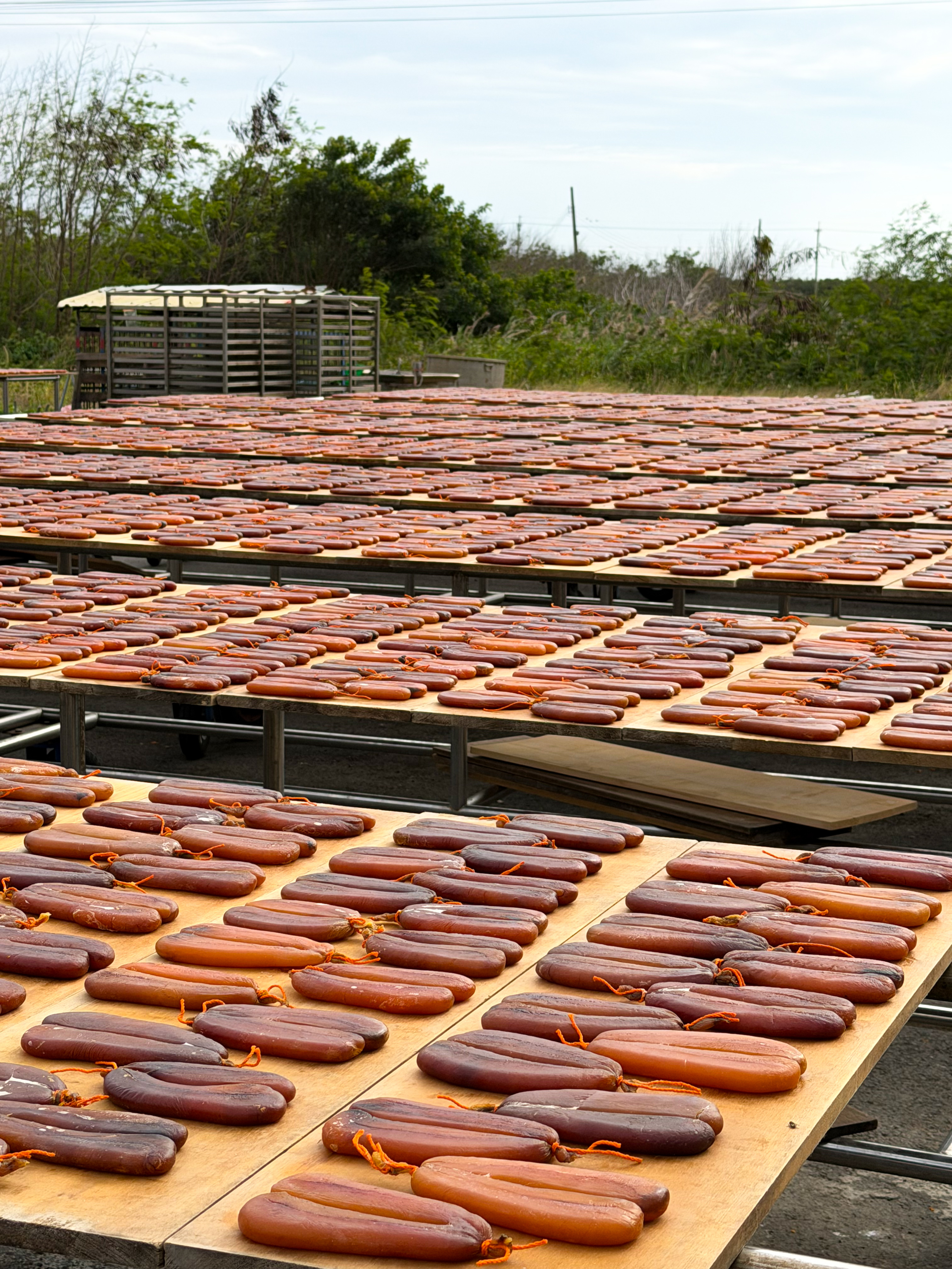 嚕甲嚕刷嘴😘一口烏魚子(現貨)