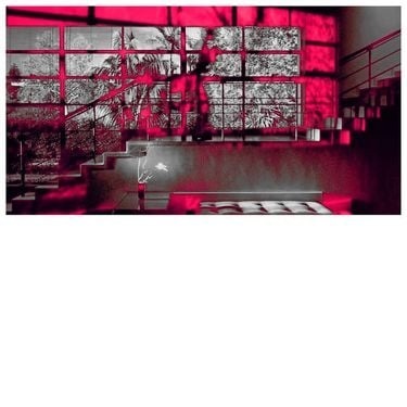 Unspecified Enemies《Romance in the Age of Adaptive Feedback》（LP）