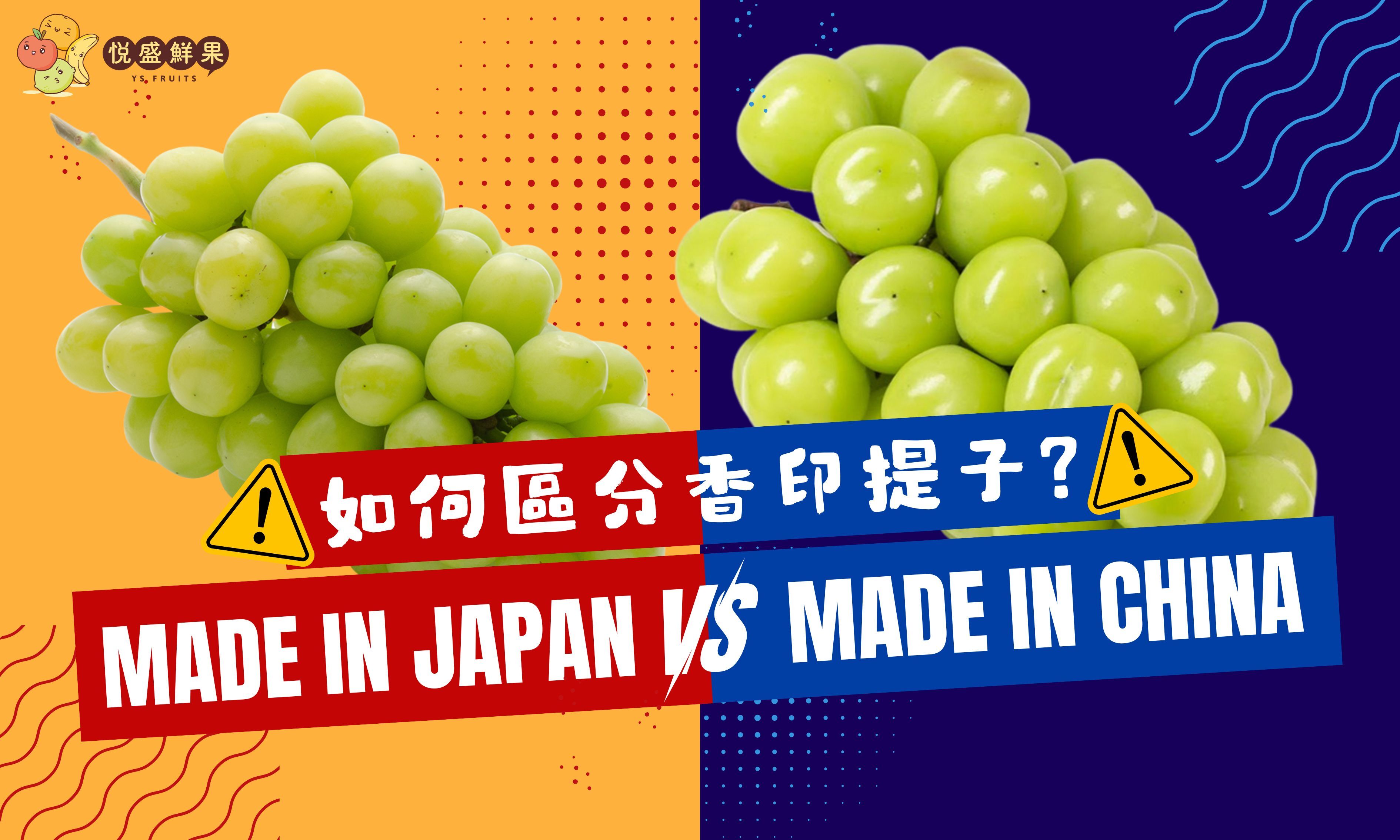 如何區分大陸/日本香印提子？