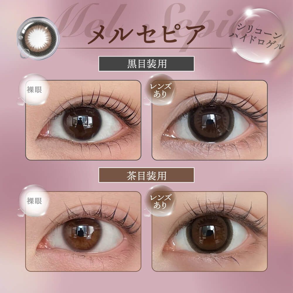 Honey Drops Monthly (Mel Sepia) (2P)