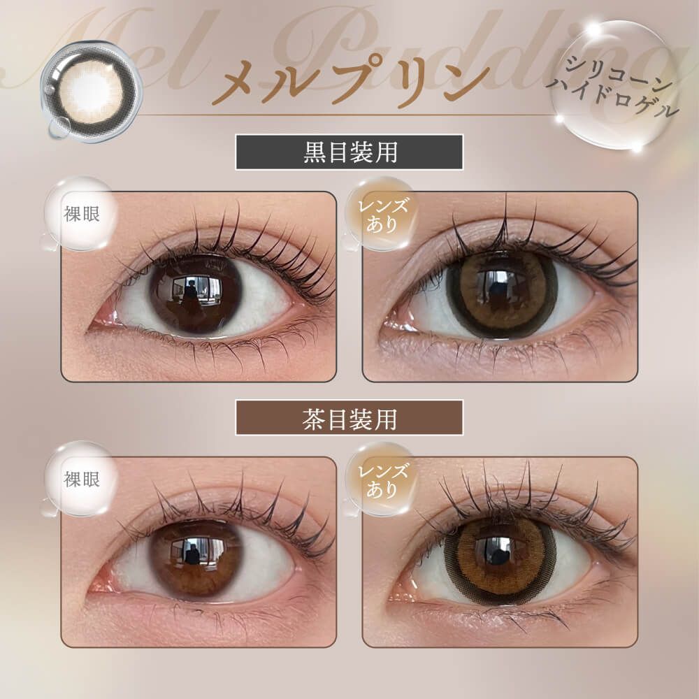 Honey Drops Monthly (Mel Pudding) (2P)