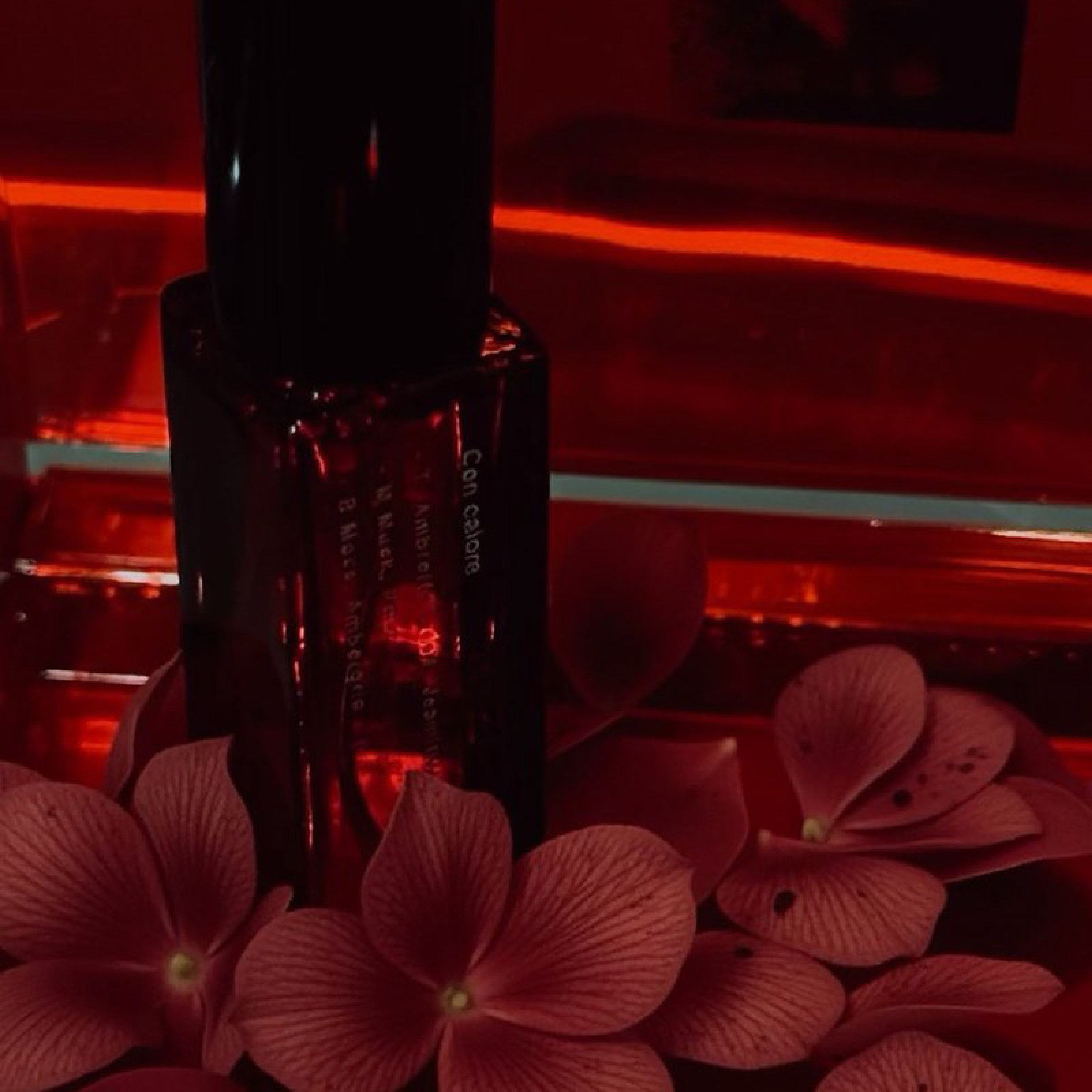 Elevato.t FABRIC SPRAY Perfume Xmas Limited Edition 聖誕限定香氛噴霧 香水