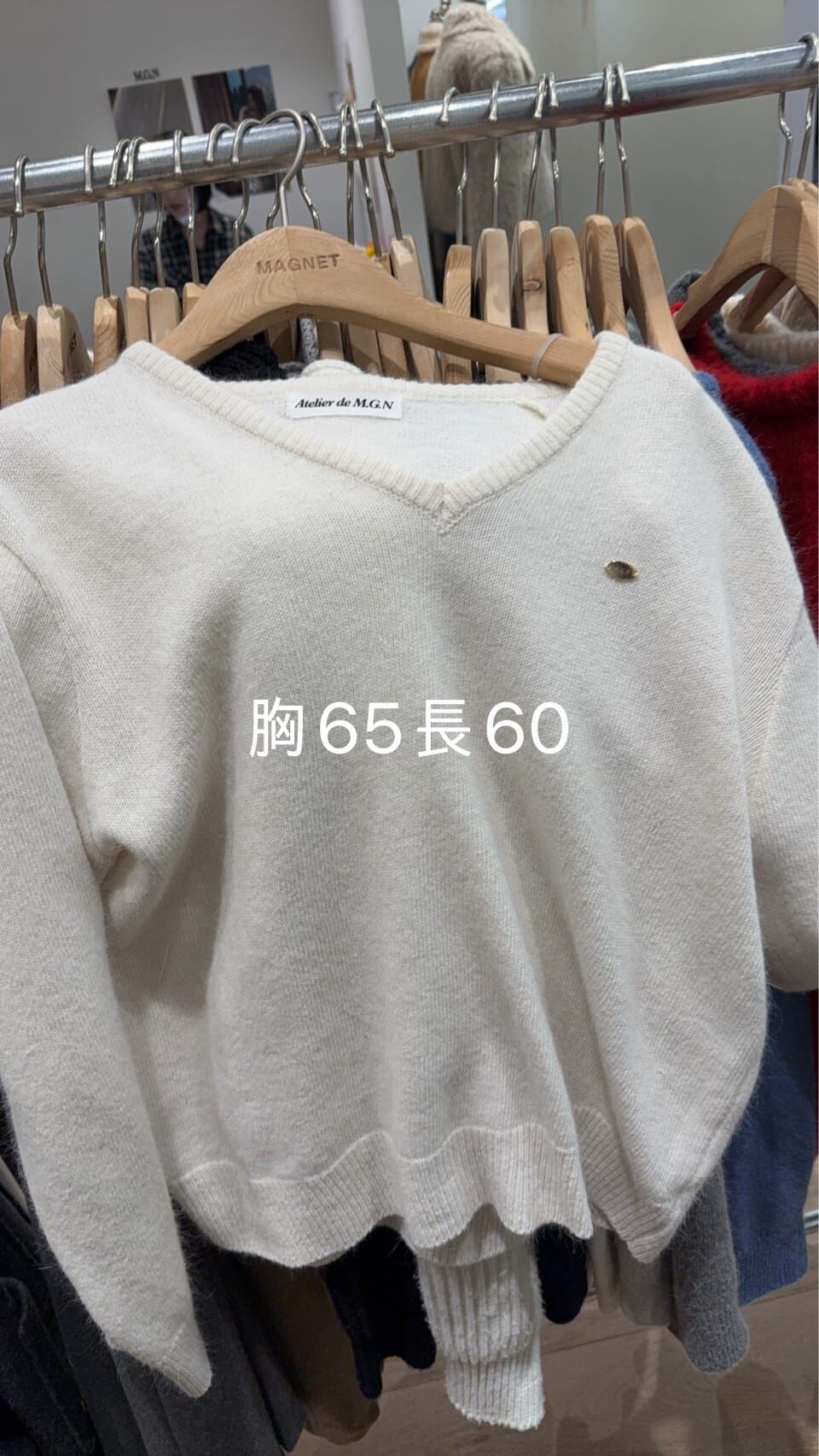 MN5307 Logo小金牌V領毛衣