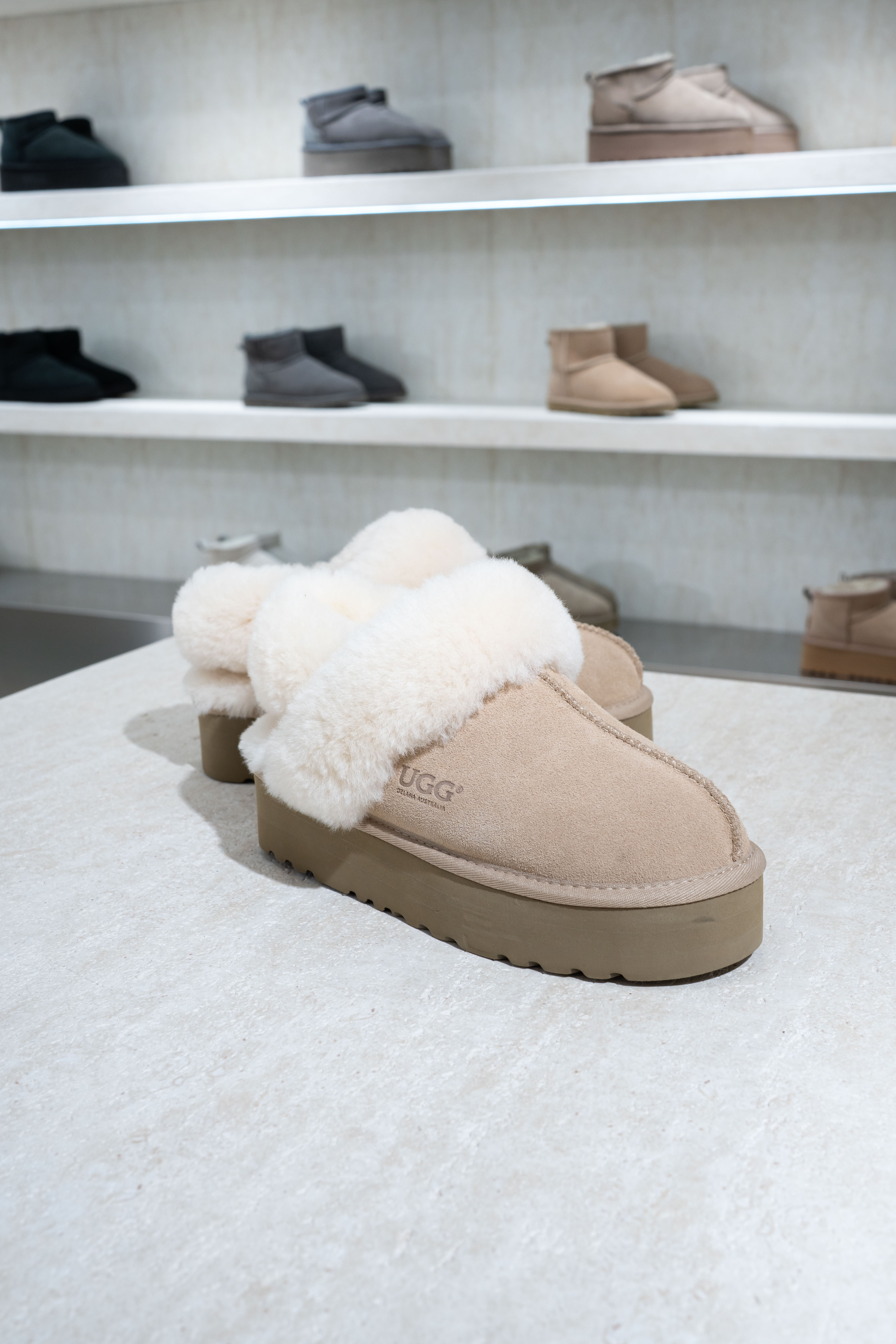 【5色入】UGG Ozlana Classic Coquette Platform Slipper (Detachable Feature)