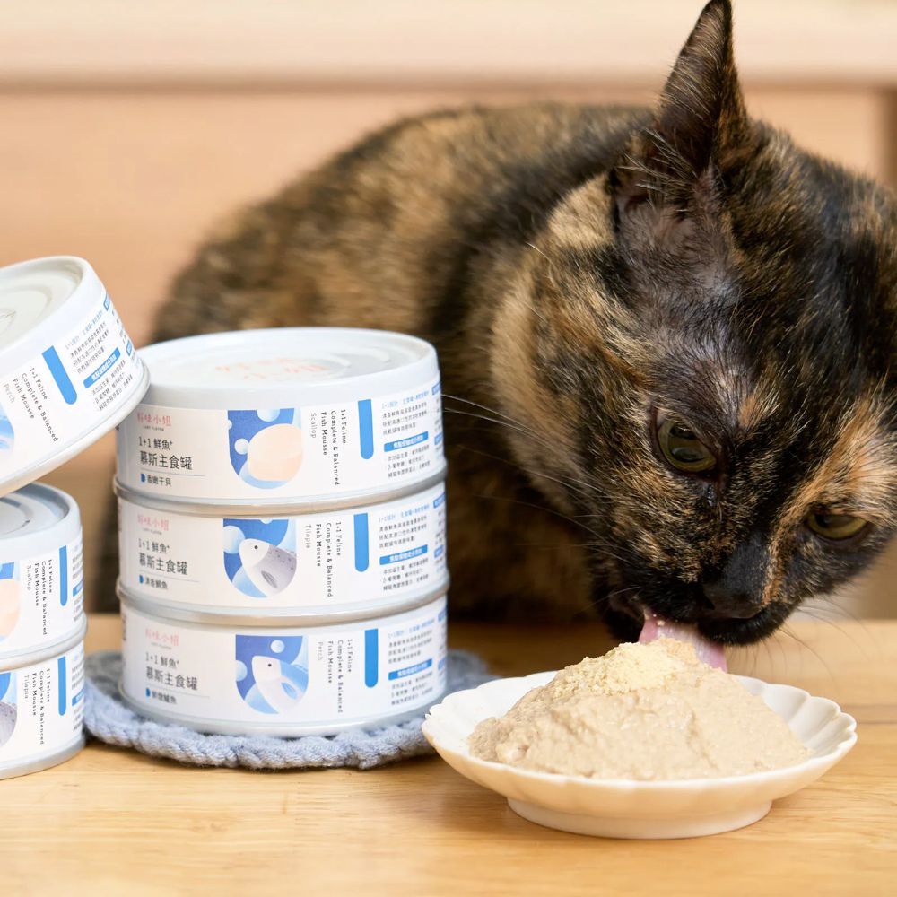 LADY FLAVOR 好味小姐｜1+1鮮魚⁺慕斯主食罐80g 貓咪主食罐 好味小姐主食罐