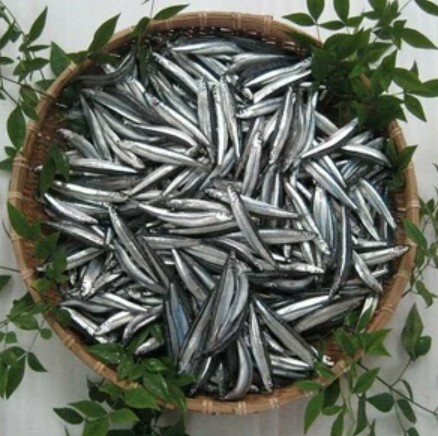 (預購商品) 富士屋銀鯡魚 145g