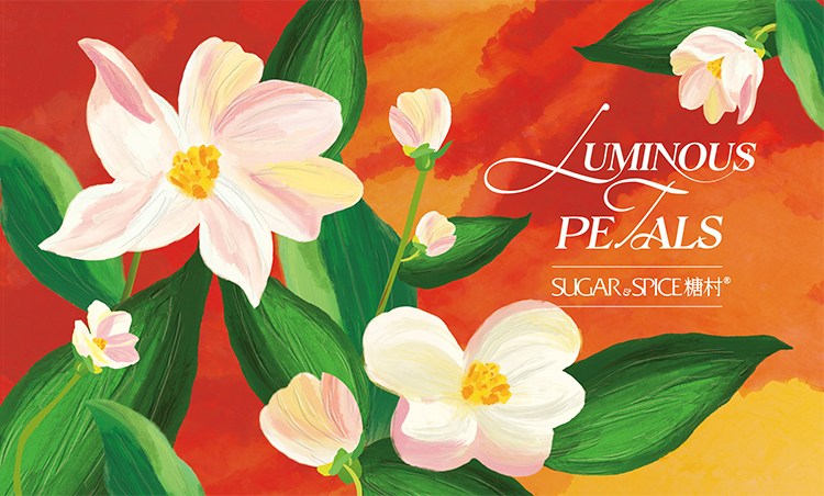 過年DM_過年禮盒