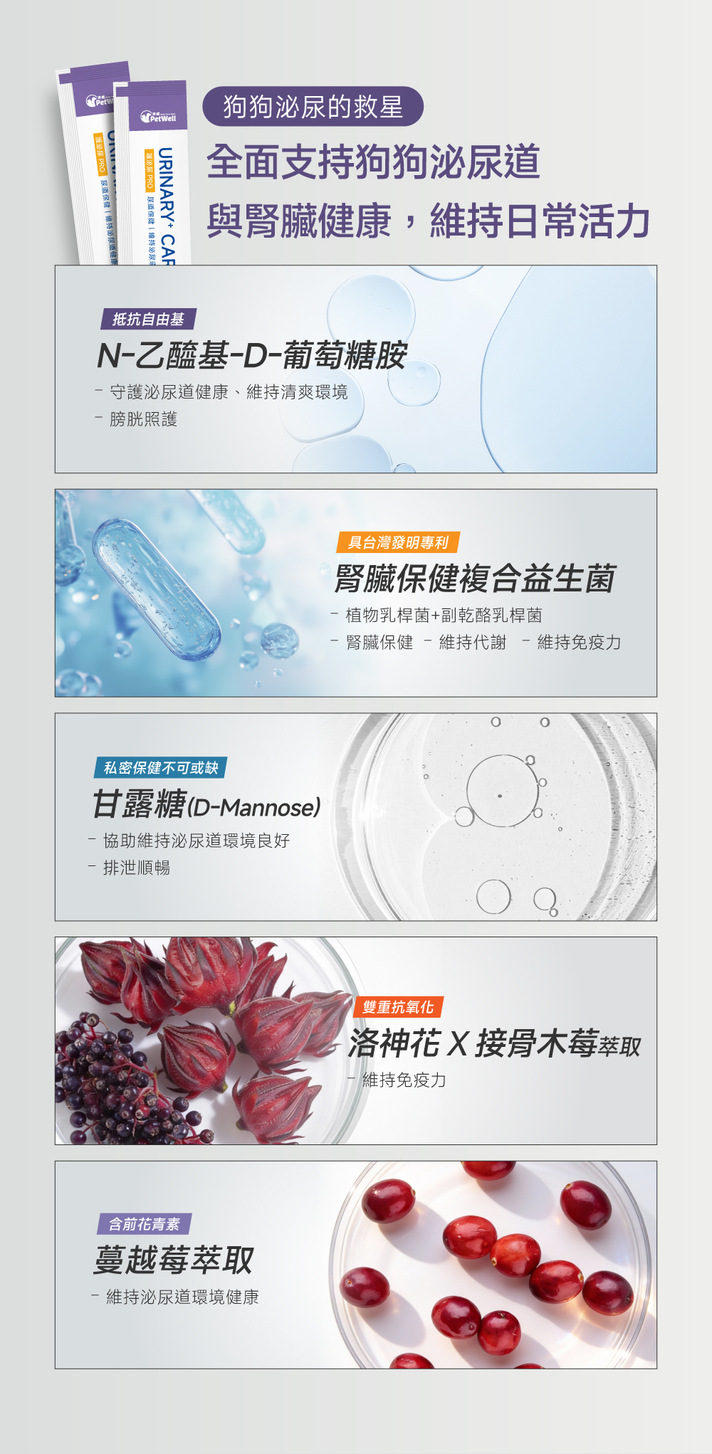 沛威專效保健狗用泌尿主要成分