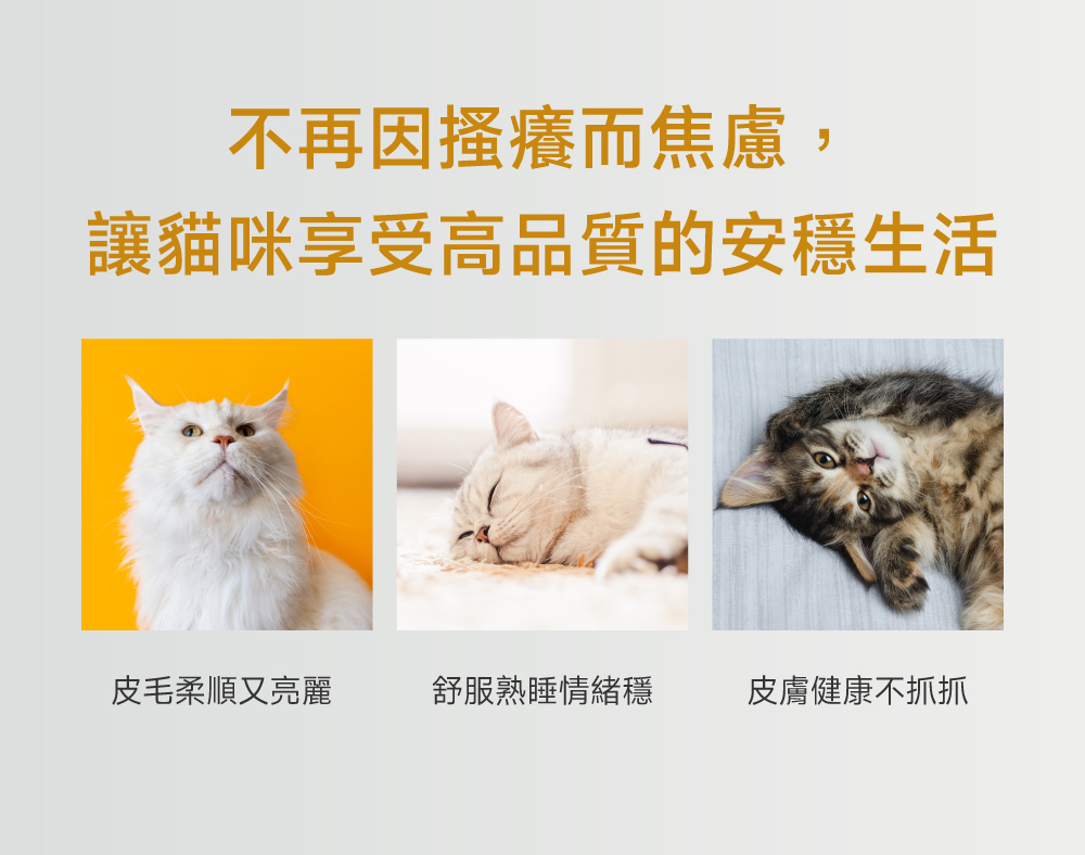 沛威專效保健貓用膚健康PRO告別搔癢脫毛