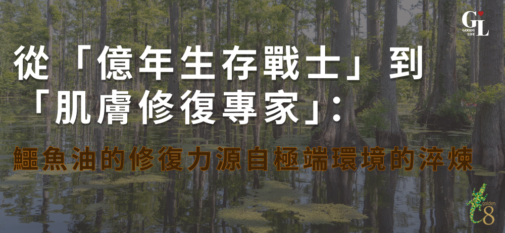 從「億年生存戰士」到「肌膚修復專家」：鱷魚油的修復力源自極