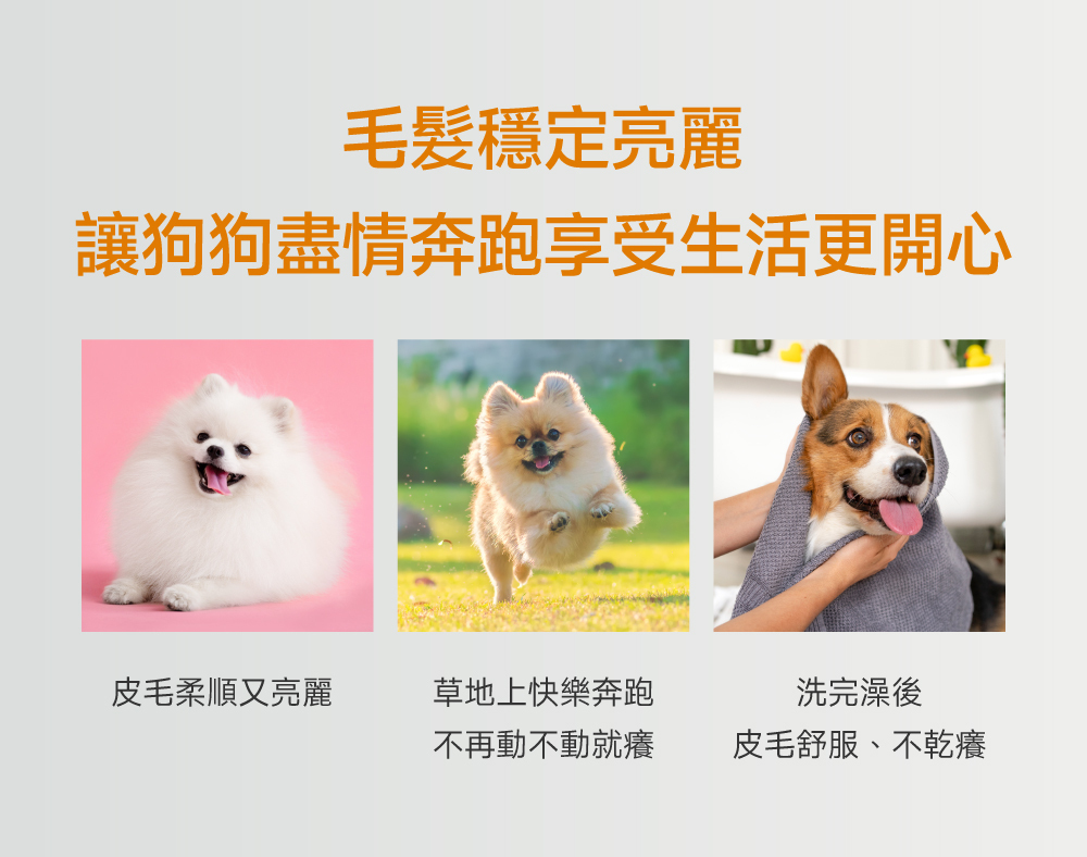 沛威專效保健狗用膚健康PRO由內調整改善毛髮亮麗