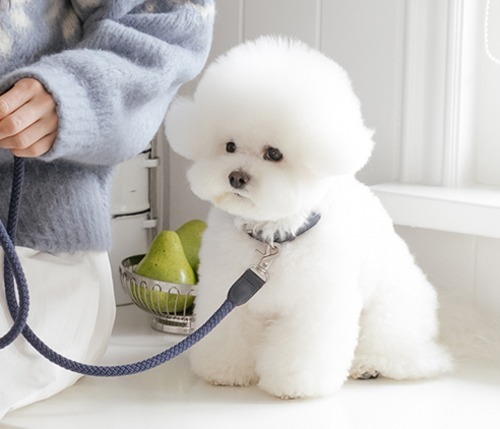 Stroll 經典款編織牽繩_深藍