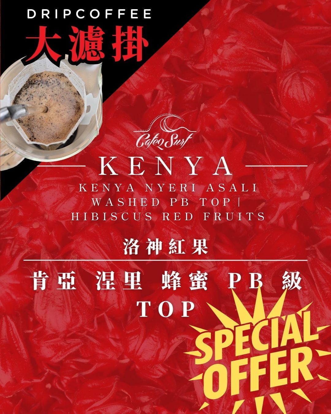 【大濾掛 - 9入小禮盒】肯亞 涅里 PB 級濾掛咖啡｜洛神紅果・淺烘焙果香款 (每包15g，9入╱盒裝)