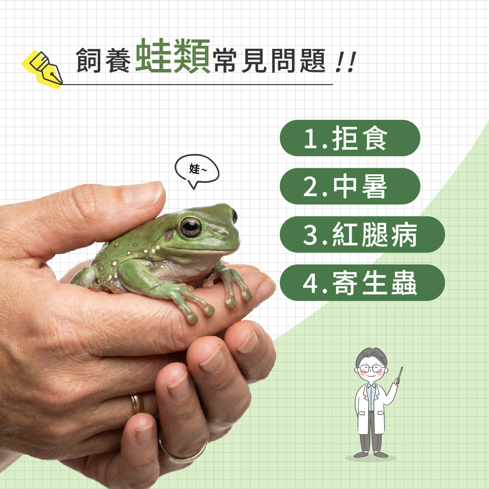 飼養蛙類常見問題示意圖，蛙類拒食、免疫力低與寄生蟲感染等腸胃相關狀況說明