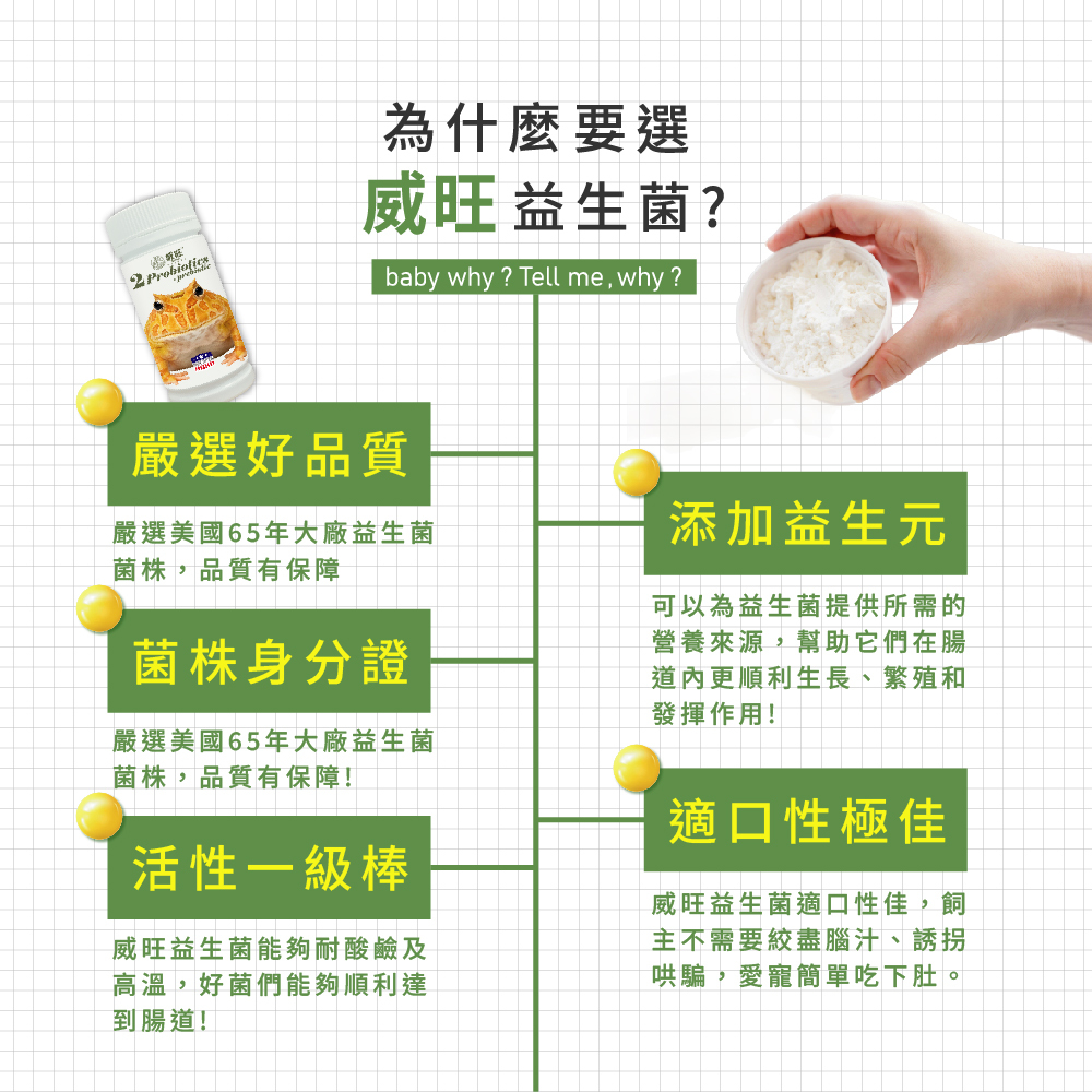 威旺益生菌產品特色介紹圖，強調嚴選美國65年大廠益生菌菌株、菌株身分證、耐酸耐熱高活性益生菌，添加益生元幫助腸道健康，適口性佳，適合寵物日常腸胃保健食用。