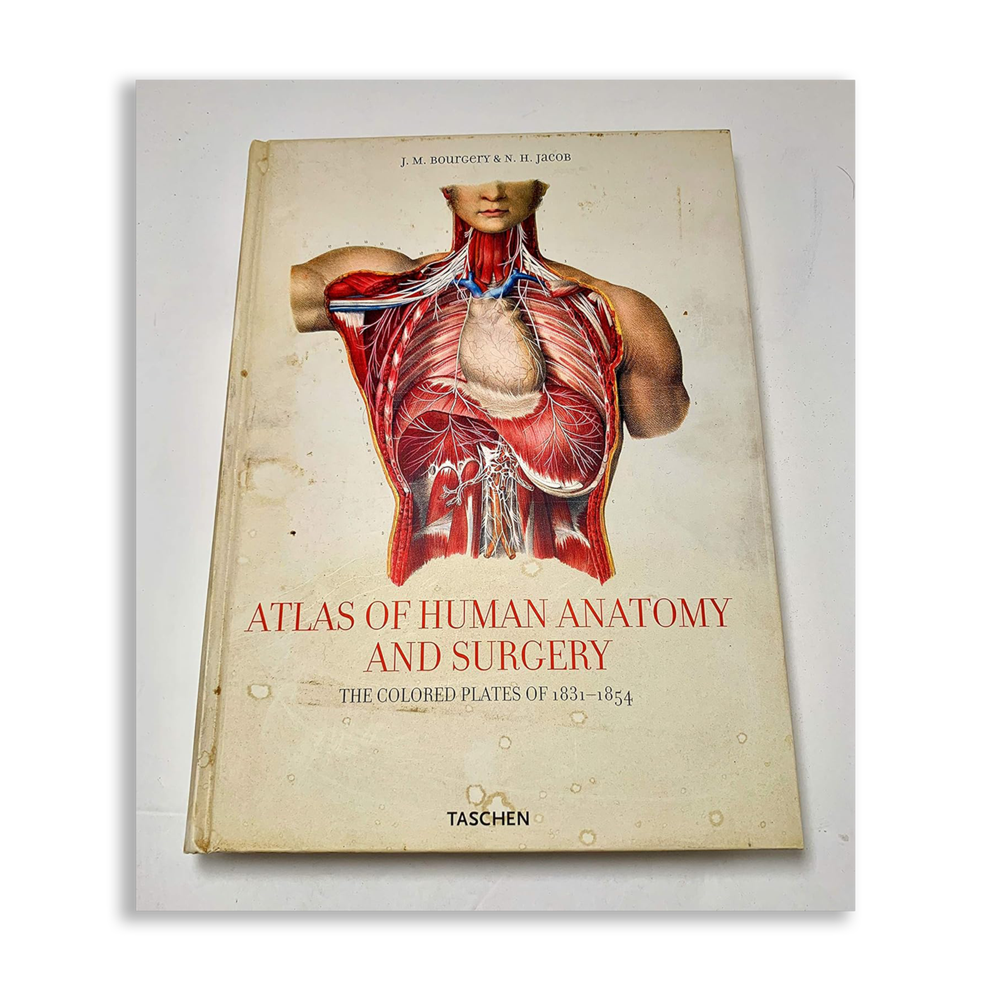 ATLAS OF ANATOMY