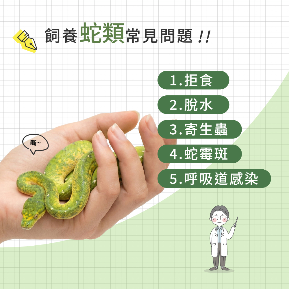 飼養蛇類常見問題示意圖