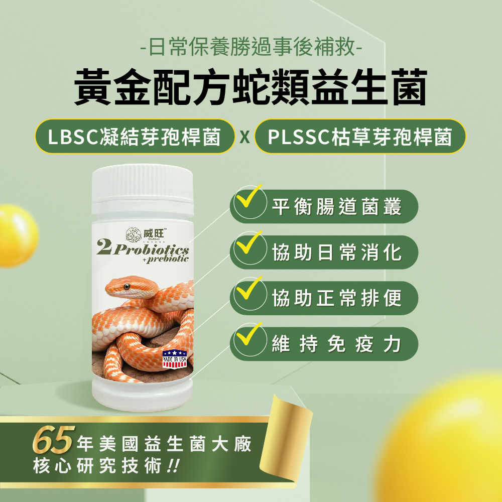 威旺蛇用腸胃二菌說明圖，雙芽孢桿菌配方，幫助腸道菌叢平衡與日常消化保養