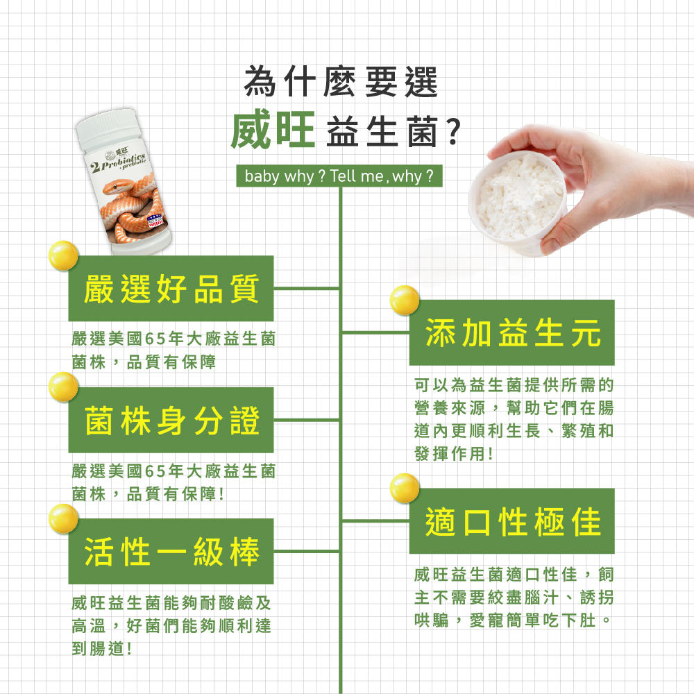 威旺益生菌產品特色介紹圖，強調嚴選美國65年大廠益生菌菌株、菌株身分證、耐酸耐熱高活性益生菌，添加益生元幫助腸道健康，適口性佳，適合寵物日常腸胃保健食用。