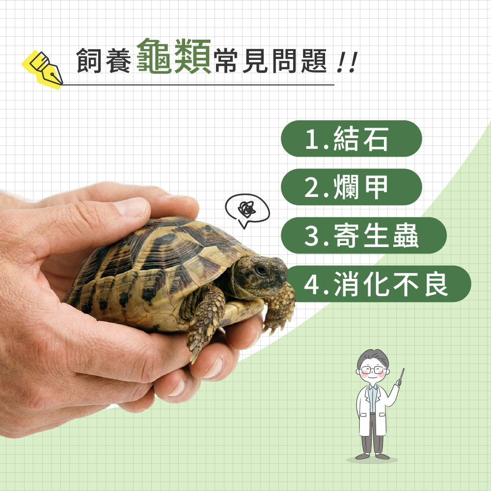 飼養龜類常見問題示意圖