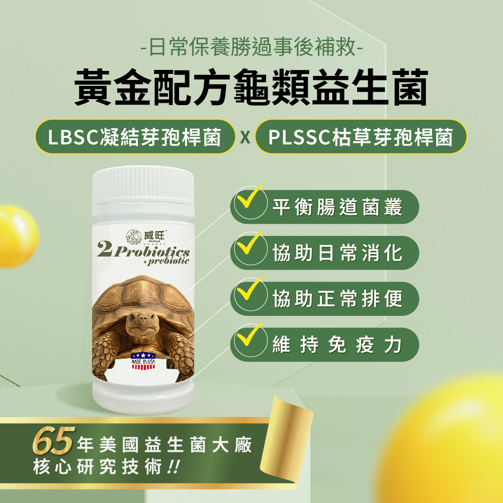 威旺龜用腸胃二菌說明圖，雙芽孢桿菌配方，幫助腸道菌叢平衡與日常消化保養