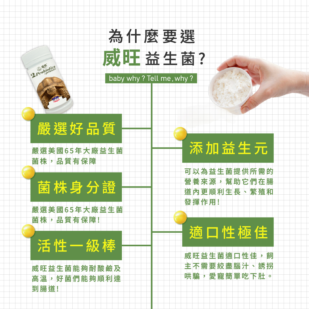 威旺益生菌產品特色介紹圖，強調嚴選美國65年大廠益生菌菌株、菌株身分證、耐酸耐熱高活性益生菌，添加益生元幫助腸道健康，適口性佳，適合寵物日常腸胃保健食用。