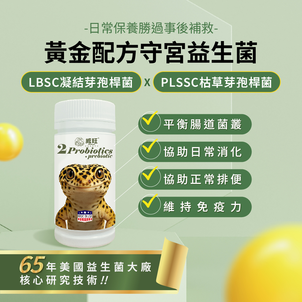 威旺守宮腸胃二菌說明圖，雙芽孢桿菌配方，幫助腸道菌叢平衡與日常消化保養