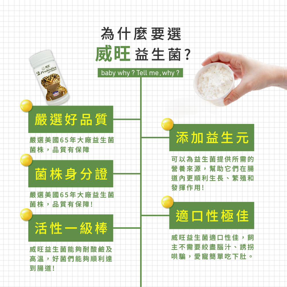 威旺益生菌產品特色介紹圖，強調嚴選美國65年大廠益生菌菌株、菌株身分證、耐酸耐熱高活性益生菌，添加益生元幫助腸道健康，適口性佳，適合寵物日常腸胃保健食用