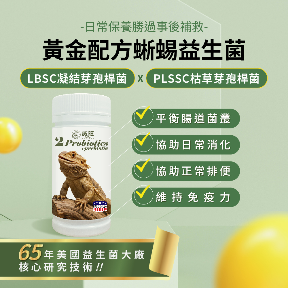 威旺蜥蜴腸胃二菌說明圖，雙芽孢桿菌配方，幫助腸道菌叢平衡與日常消化保養